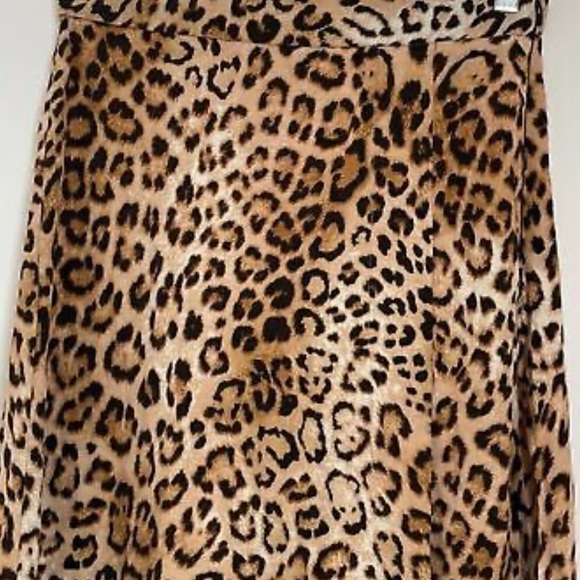Zara Cheetah Print Skirt Maxi Skirt - Picture 8 of 8